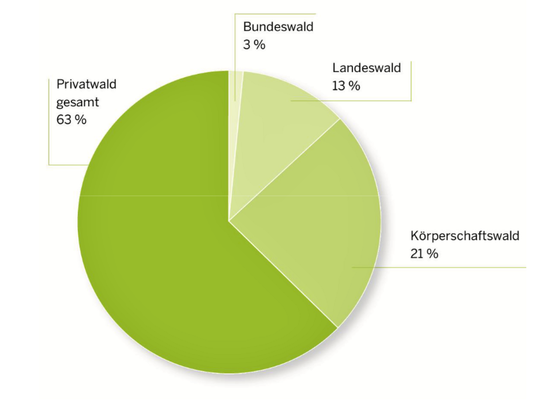 Wald in Nordrhein-Westfalen: Landesverband Nordrhein-Westfalen