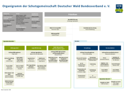 Organigramm der SDW-Bundesgeschäftsstelle